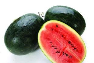 康县网红怎么吃瓜,康县网红教你如何品尝地道瓜果美味 第1张 康县网红怎么吃瓜,康县网红教你如何品尝地道瓜果美味 第1张